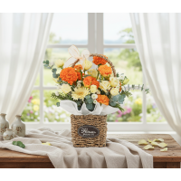 햇살 가득한 날